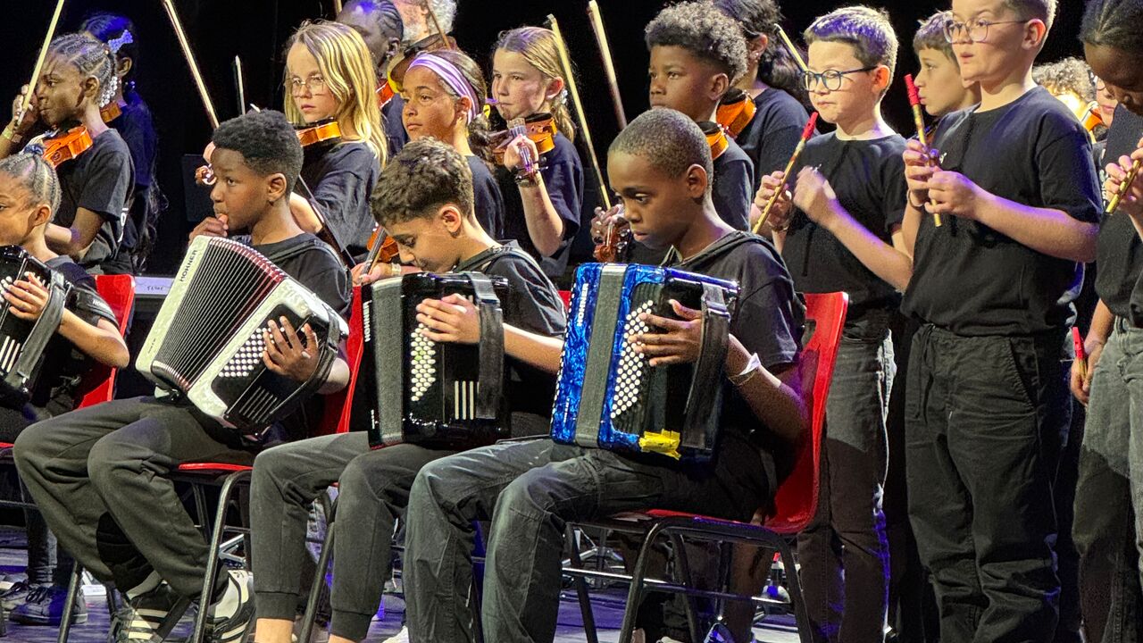 Orchestras in Schools !